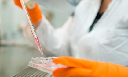 A scientist working in a lab holding a pipet above a petri dish