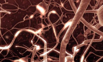 Active nerve cells